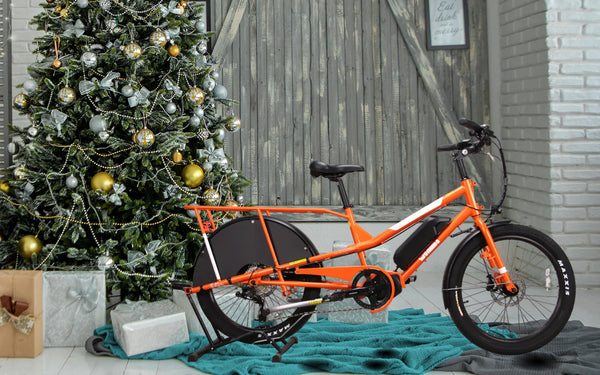 Pourquoi offrir un vélo électrique reconditionné est le cadeau parfait pour Noël ?