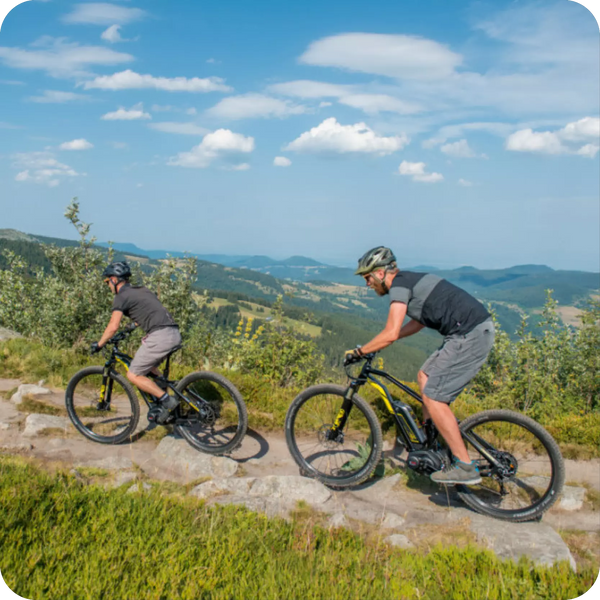 VTT électrique semi-rigide ou tout suspendu : lequel choisir ?