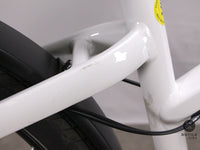 Riese & Müller Charger4 Mixte GT vario