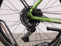 Winora E-Flitzer Shamrock M