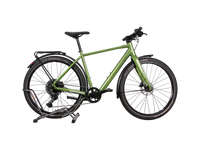 Winora E-Flitzer Shamrock M