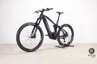 Haibike ALLMTN CF 11