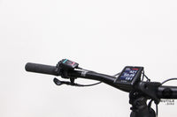 Haibike ALLMTN CF 11