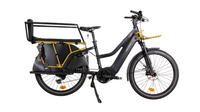 Riese & Müller multi charger Mixte Touring