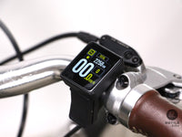 Voltaire Legendre 28 Vert Anglais