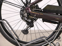 Bergamont E-Horizon Premium expert