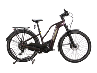 Bergamont E-Horizon Premium expert