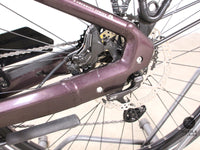 Bergamont E-Horizon Premium expert