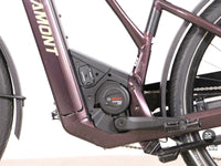 Bergamont E-Horizon Premium expert