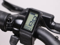 UTO Evening Origins Vert Sauge