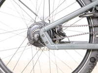 Riese & Müller LOAD 75 VARIO