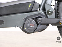 Riese & Müller LOAD 75 VARIO