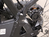 Riese & Müller Nevo GT Touring 11Gang