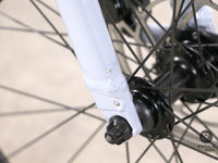 Cannondale Adventure NEO 3.1 EQ