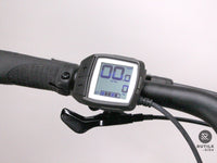 Cannondale Adventure NEO 3.1 EQ