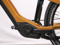 Winora YAKUN X10 UNISEX i750Wh