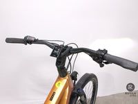 Winora YAKUN X10 UNISEX i750Wh