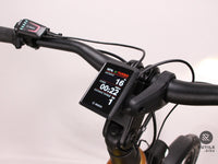 Winora YAKUN X10 UNISEX i750Wh