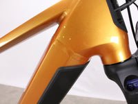 Winora YAKUN X10 UNISEX i750Wh