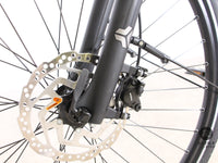 Carver Cityzen E.410 FL