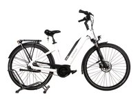 Carver Cityzen E.410 FL