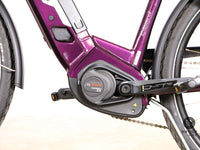 Victoria eTrekking 10.8 Wave