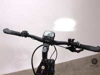 Victoria eTrekking 10.8 Wave