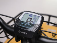 Riese & Muller CRUISER