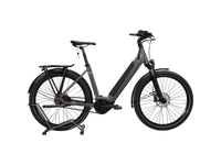 Winora Sinus R5 F Low