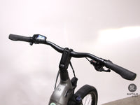 Winora Yucatan X8 Low