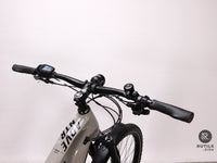 Haibike ADVENTR FS 10
