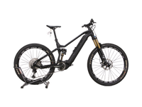 Haibike AllMtn10