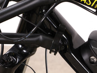 Yuba Fastrack Espresso Family Edition