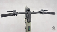 Riese & Müller UBN Five singlespeed