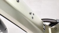 Riese & Müller UBN Five singlespeed