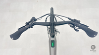 Velo De Ville 6TY Urban Alivio 9 M