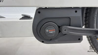 Bergamont E Cargoville LJ Expert