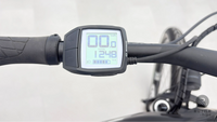 Bergamont E-revox pro FMN