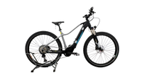 Bergamont E-revox pro FMN