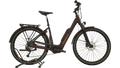 Advanced Ebike Trekking Plus