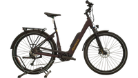 Advanced Ebike Trekking Plus