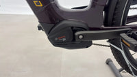 Advanced Ebike Trekking Plus