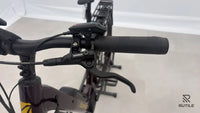 Advanced Ebike Trekking Plus