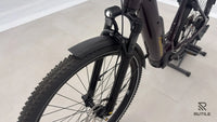 Advanced Ebike Trekking Plus