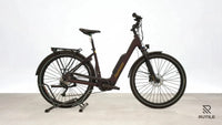 Advanced Ebike Trekking Plus