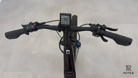 Advanced Ebike Trekking Plus