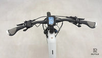 Winora Yucatan X12 Pro Low