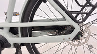 Gazelle Bloom C7