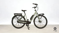 Gazelle Bloom C7
