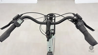 Gazelle Bloom C7